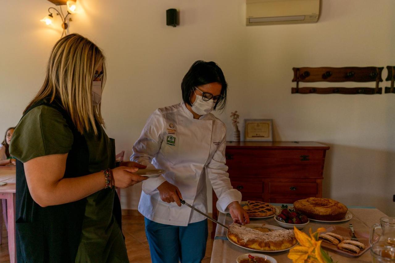 Agriturismo La Banchella Scarlino Eksteriør bilde
